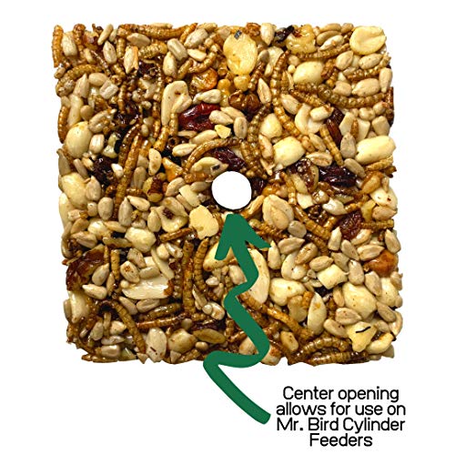 Mr. Bird Bugs, Nuts, & Fruit Small Wild Bird Seed Cake 6 oz.