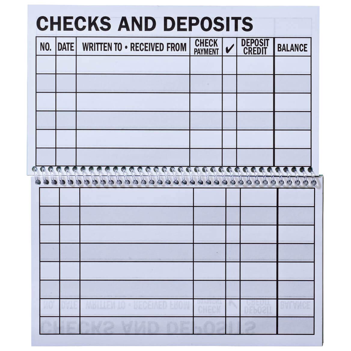 Giant Print Check Register, Set of 2