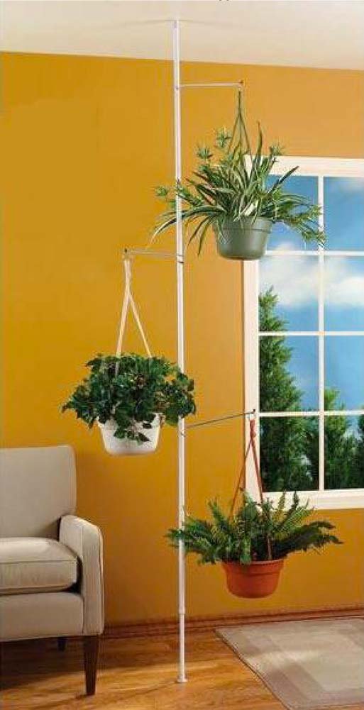 Indoor Plant Pole